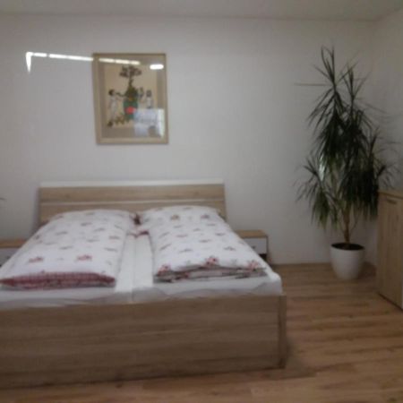 Apartmán Formanka Liberec Kültér fotó